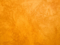 Pascal Mercier | Peintures Décoratives | www.pascalmercierdeco.com